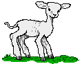 lamb.gif (1125 bytes)